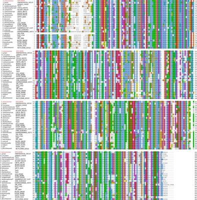 SPD_0090 Negatively Contributes to Virulence of Streptococcus pneumoniae